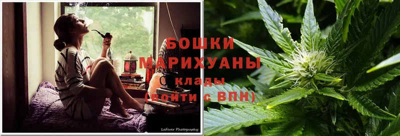 Каннабис SATIVA & INDICA  Микунь 